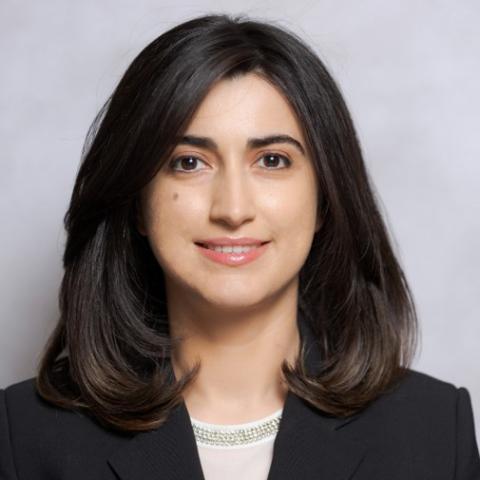 Profile photo of Dr. Arfine Grigorian, 